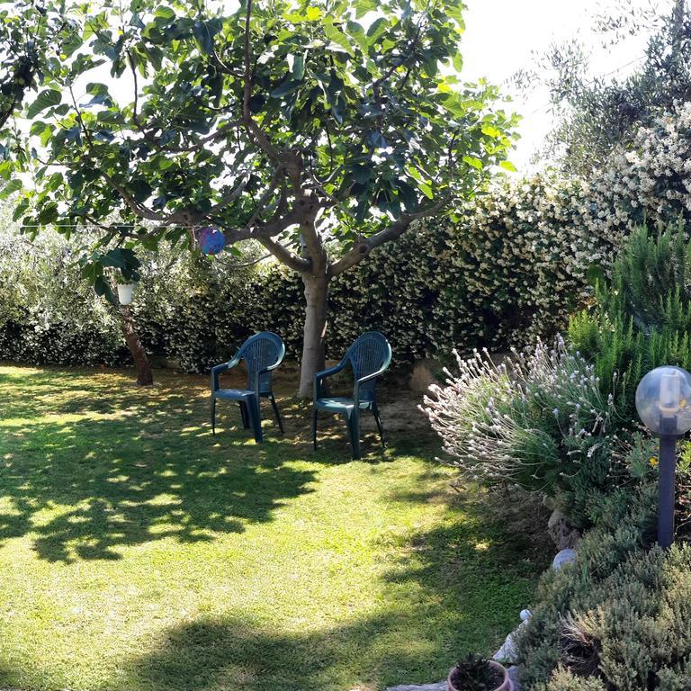 B&B L'Albero Di Antonia Atri Ngoại thất bức ảnh